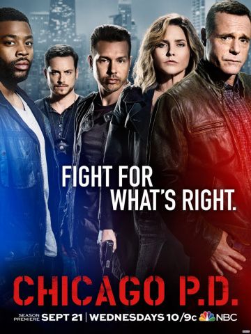 Полиция Чикаго 11 сезон 9 серия