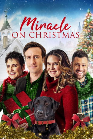 Рождественское чудо (2020)